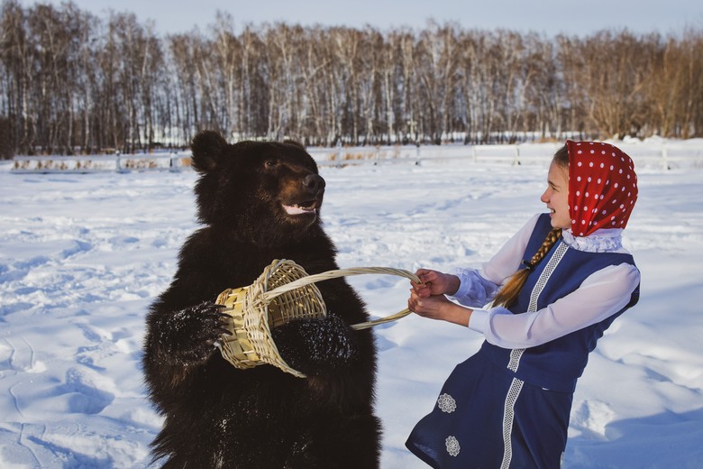 Села На Медведя В Магазине