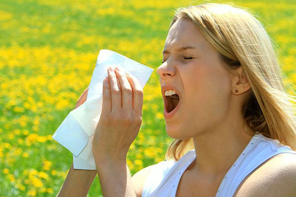 Несколько простых правил помогут облегчить аллергию.