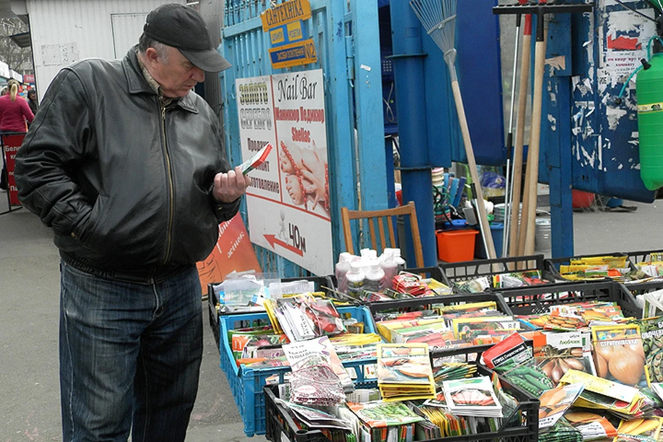 Киевлянин изучает ассортимент магазина, торгующего семенами.