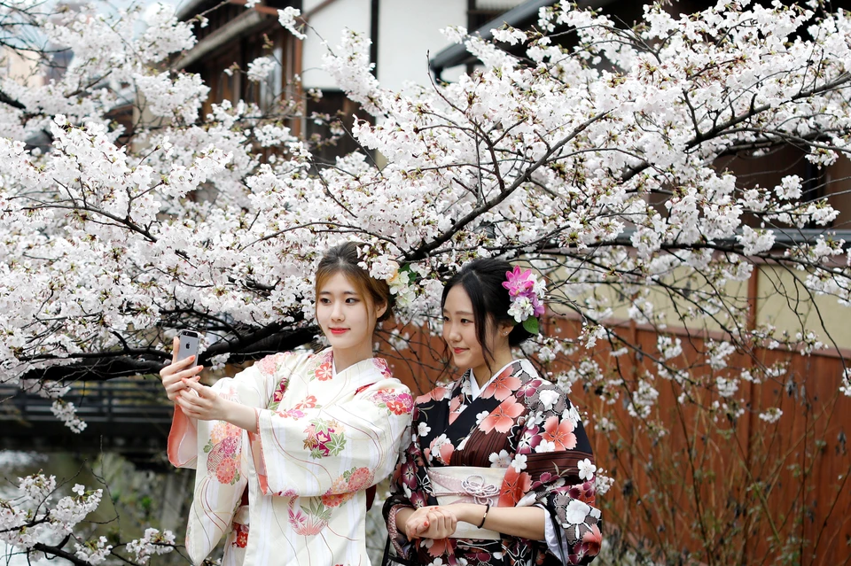 Цветы сакуры напоминают японцам о быстротечности жизни и учат ценить моменты счастья.