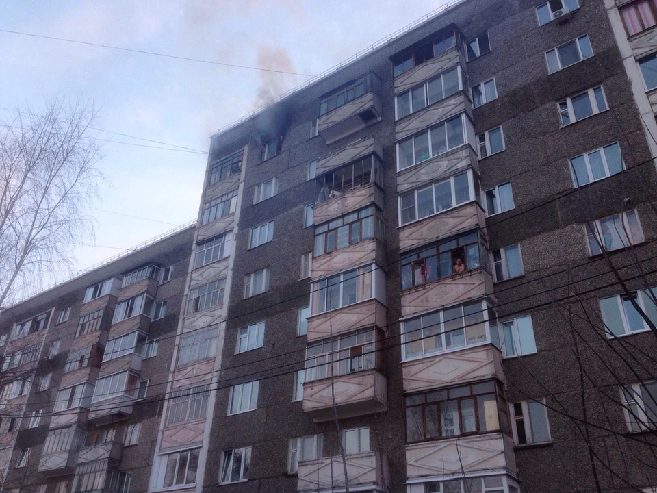Фото: ИГГС