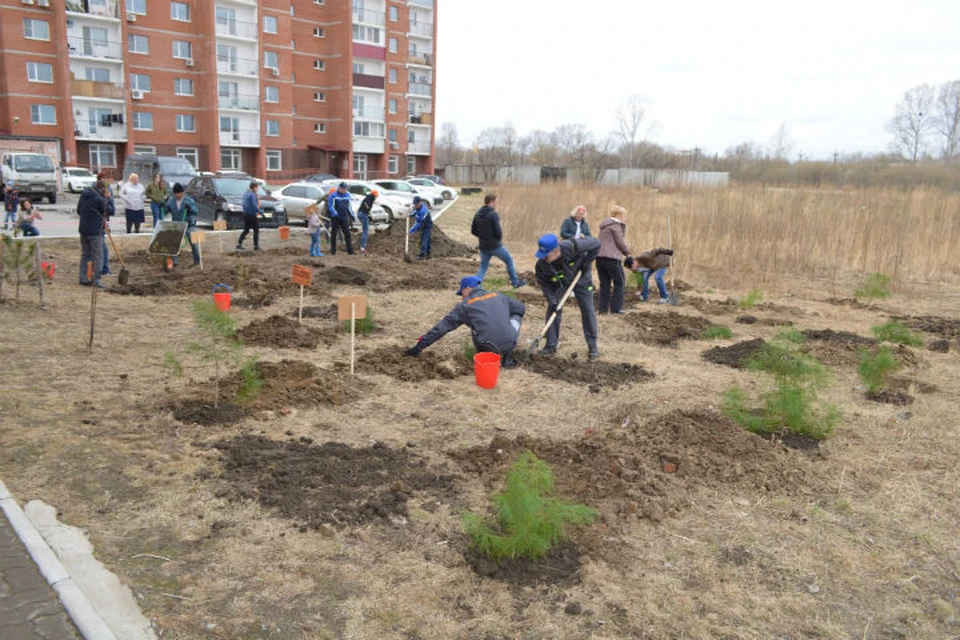 "Комсомолка" собственным примером показала: чтобы благоустроить Хабаровск, нужно начать хотя бы с одного двора