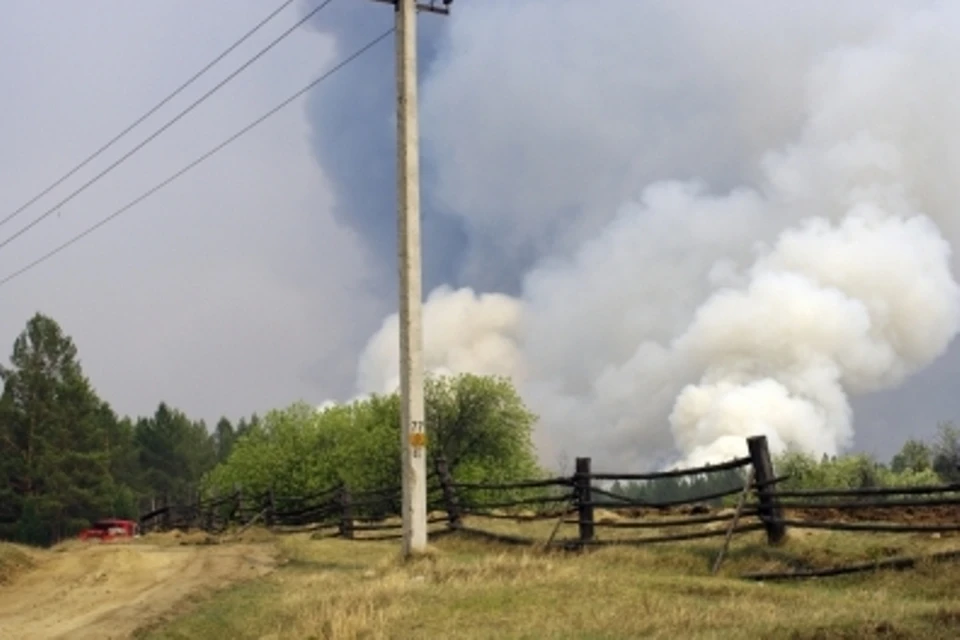 Одной из причин пожаров в Тайшетском районе стало бездействие Бирюсинского лесхоза