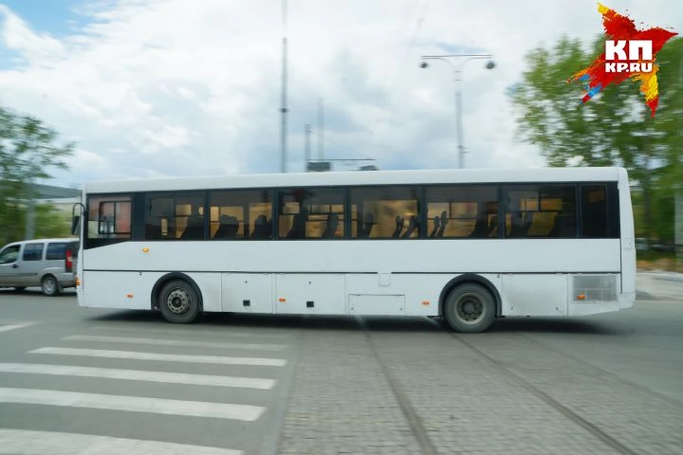 Пятьдесят шестой автобус