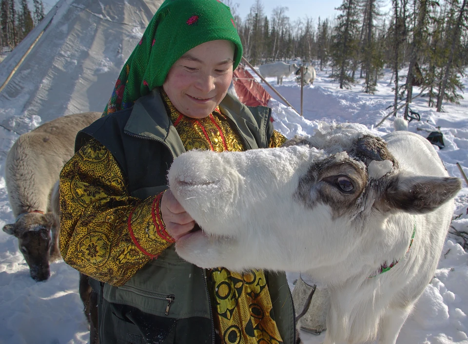 В стойбище зимой. Фото: Предоставлено пресс-службой Губернатора Ямало-Ненецкого автономного округа