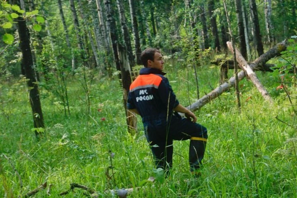 В уральских лесах вновь ищут детей