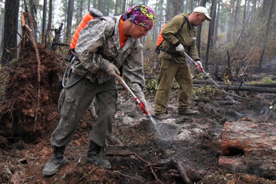 На Дальнем Востоке сократилось количество лесных пожаров