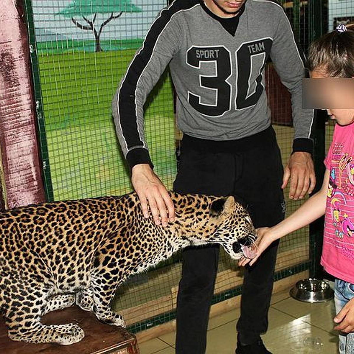 Женщины в леопардовом зоопарке. Зоопарк Мадагаскар Саратов. Леопард в зоопарке. Контактный зоопарк Саратов. Леопард малыш.