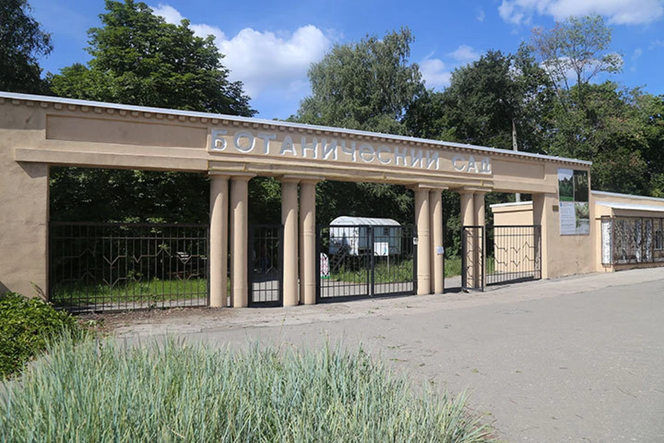 С 14 августа самарский ботанический сад закрыт на реконструкцию.