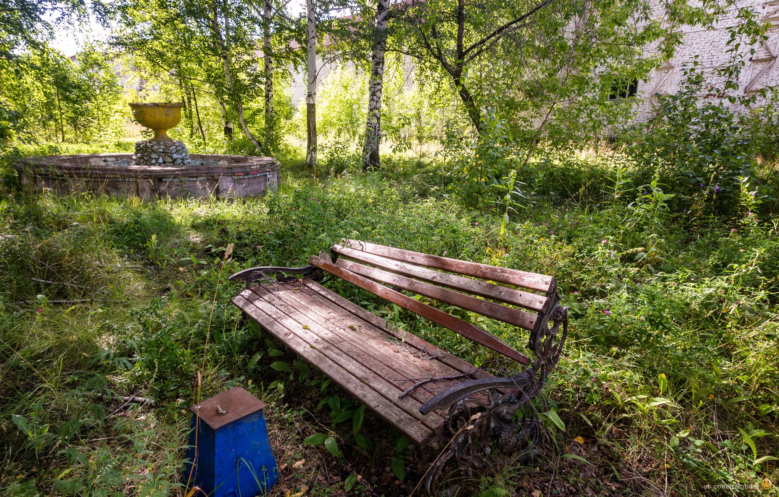 Фото: Андрей Колчин