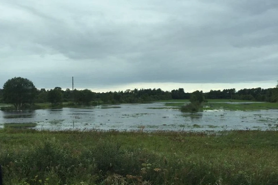В Псковской области прошли сильнейшие ливни - подтоплены деревни в нескольких районах.