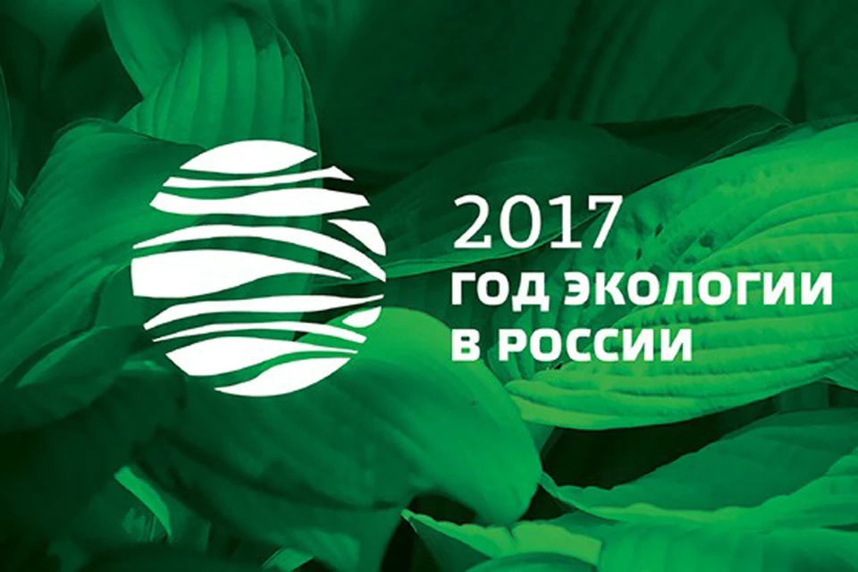 Эмблема года экологии в россии 2017 картинка