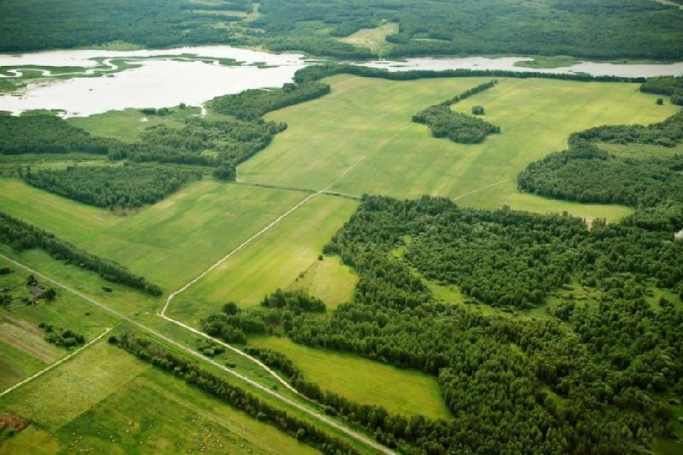 На сегодня в Хабаровском крае зарегистрировано 15640 заявлений. Фото: minvr.ru