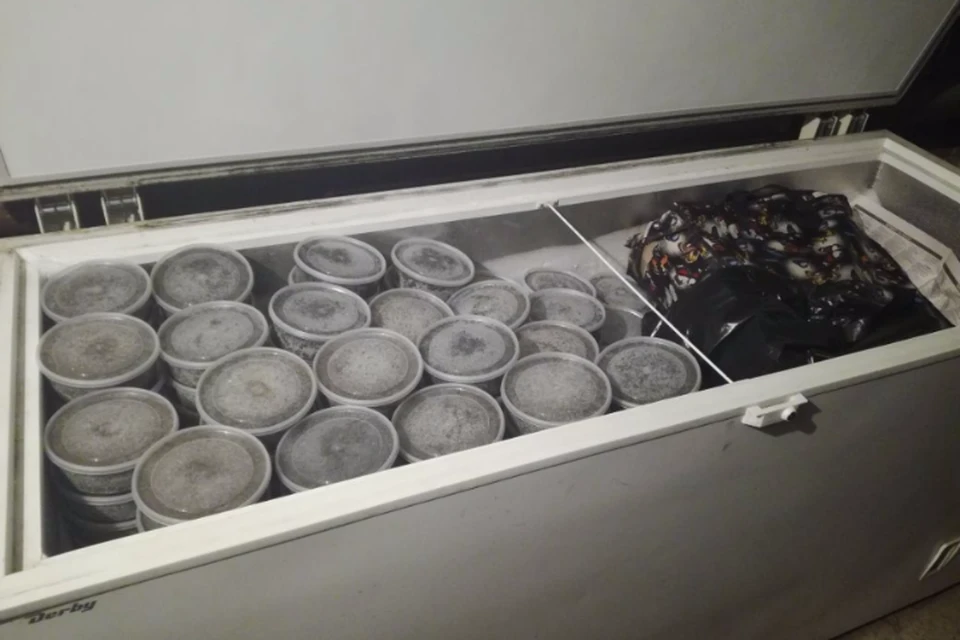 В Хабаровском крае в гараже и квартире браконьеров нашли тонну черной икры