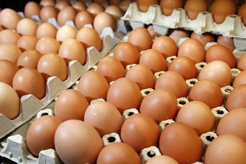 Полторы тысячи яиц тухнут в полицейском участке. Фото: Архив "КП"