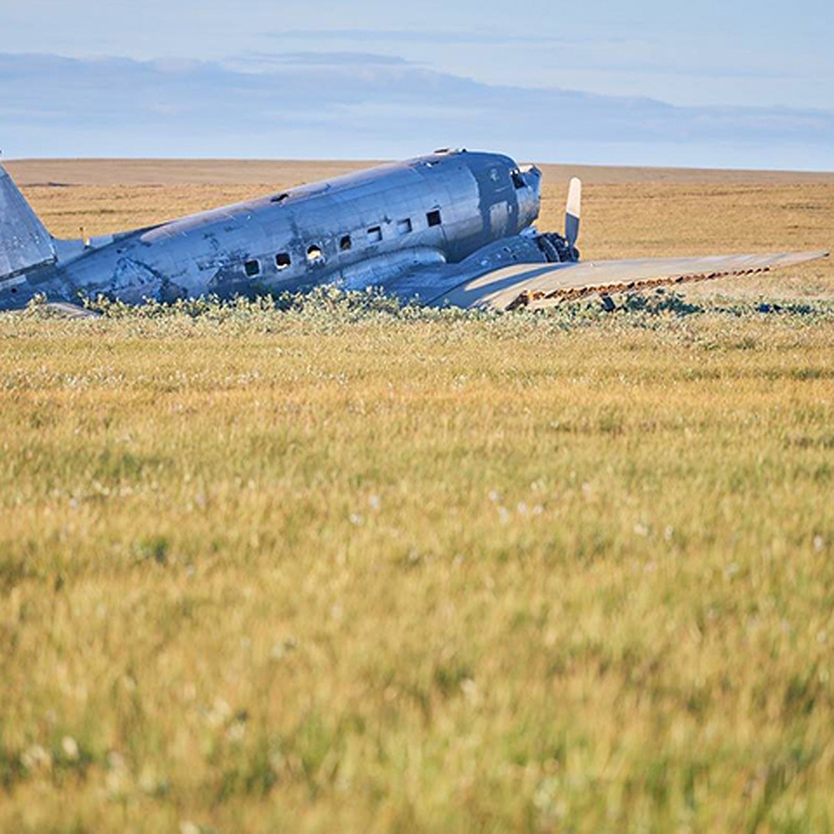 Крушение Douglas C-47 в тундре: командир самолета дважды спас жизнь  пассажиров - KP.RU