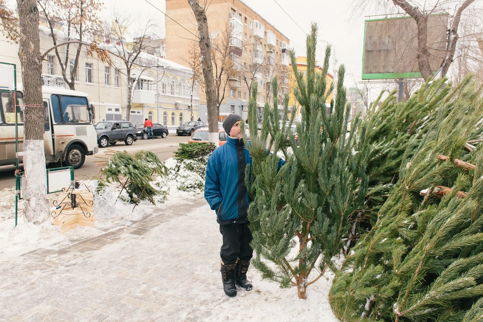 В Самаре начали работать елочные базары