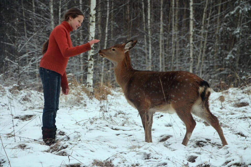 Ручной олень пропал в Нижегородской области перед Новым годом