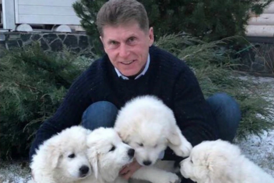 Губернатор Сахалина разыграл в Instagram трех щенков