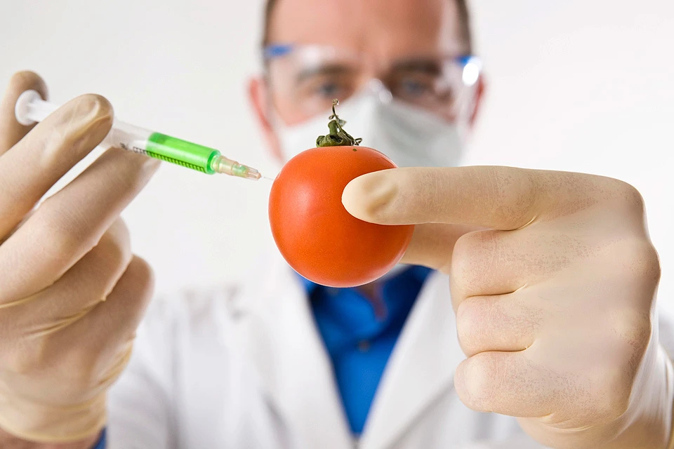 Несмотря на наличие ГМО-продуктов в ближайшем магазине, 42 процента россиян не знают того, что растения обладают генами.