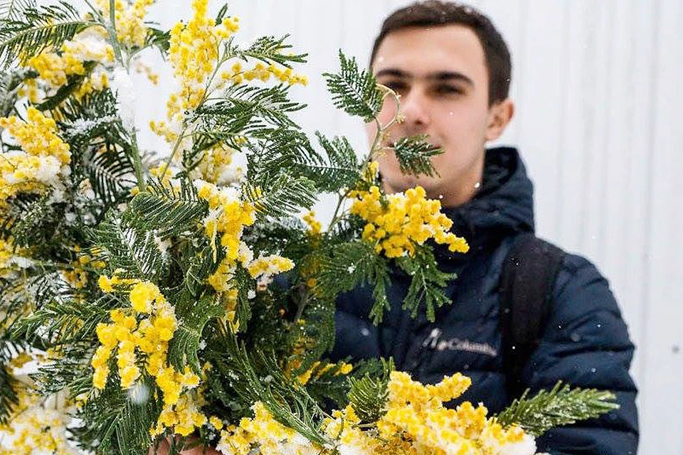 Мимозы под запретом: почему нельзя дарить эти цветы на 8 Марта – Учительская газета