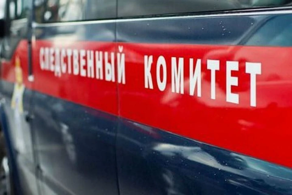 Минздрав Хабаровского края: «Бюро судебно-медицинской экспертизы не имеет отношения к найденным на левом берегу Амура кистям рук»