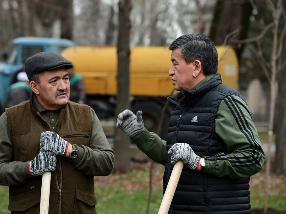 Во время субботника Албек Ибраимов рассказал президенту о ситуации с озеленением Бишкека