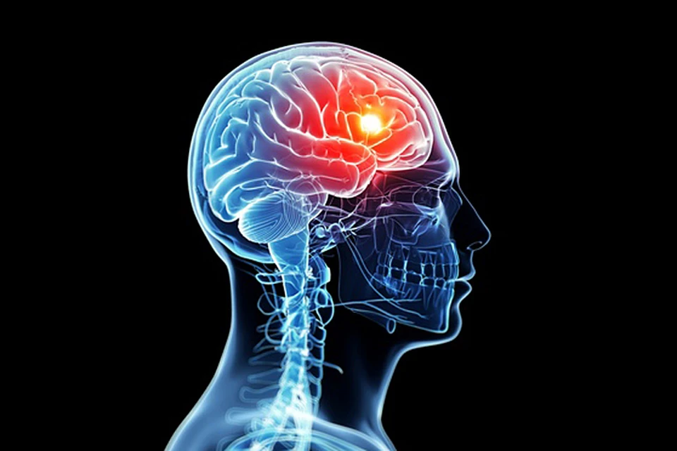 Действительно мозжечок у людей стареет значительно медленнее остального мозга и всего тела