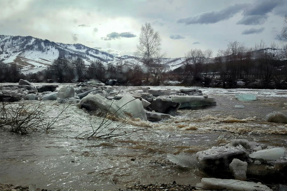 Солонешенский район. Фото Олеси Нецеля