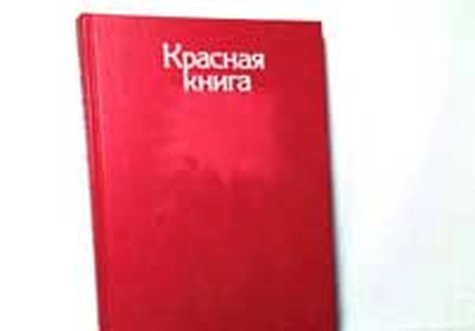 Книга кыргызстан. Красная книга Кыргызстана. Красная книга Киргизии книга. Красная книга Кыргызстана животные и растения. Животные красной книги Кыргызстана.