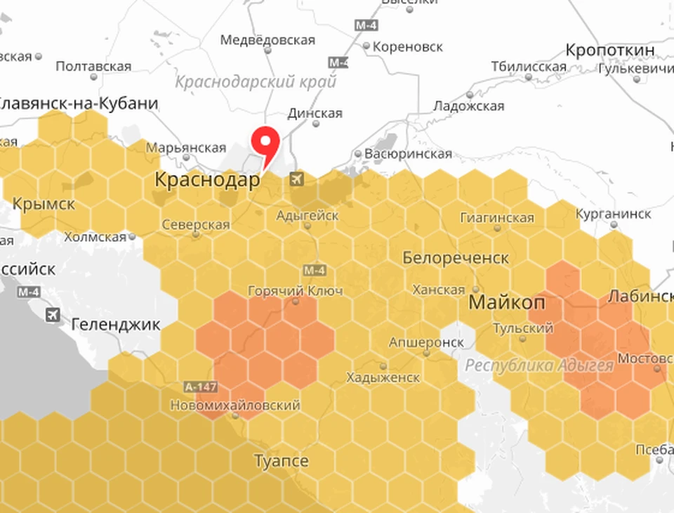Карта пыльцы новосибирск