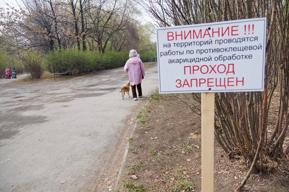 В опасный период животных рекомендуют защищать от клещей комплексно.