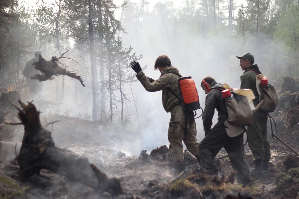 Сухая погода и сильный ветер становятся причинами лесных пожаров на Южном Урале. Фото: Юлия ПЫХАЛОВА.