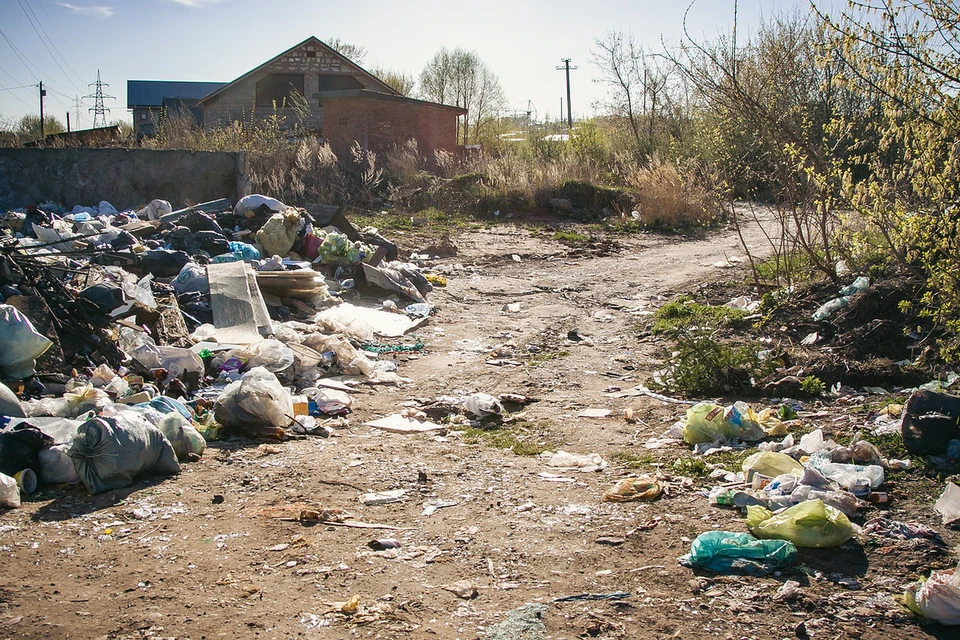 Фото: Сергей Грачев