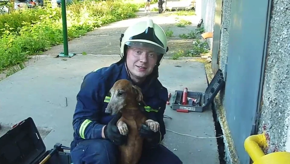 Скриншот с видео из "ВКонтакте", которое спасатель разместил на странице