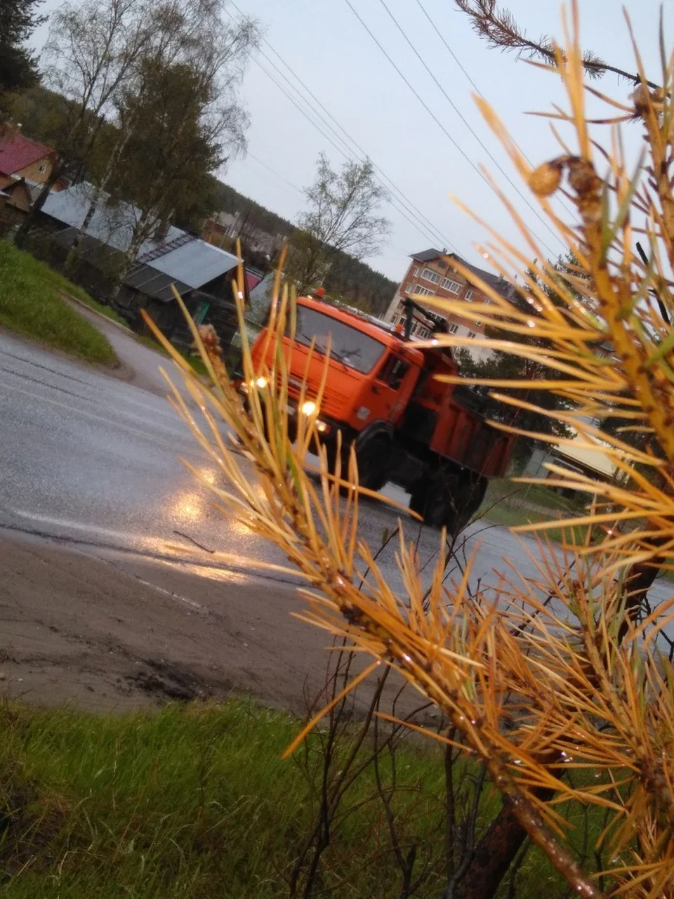Фото соцсети