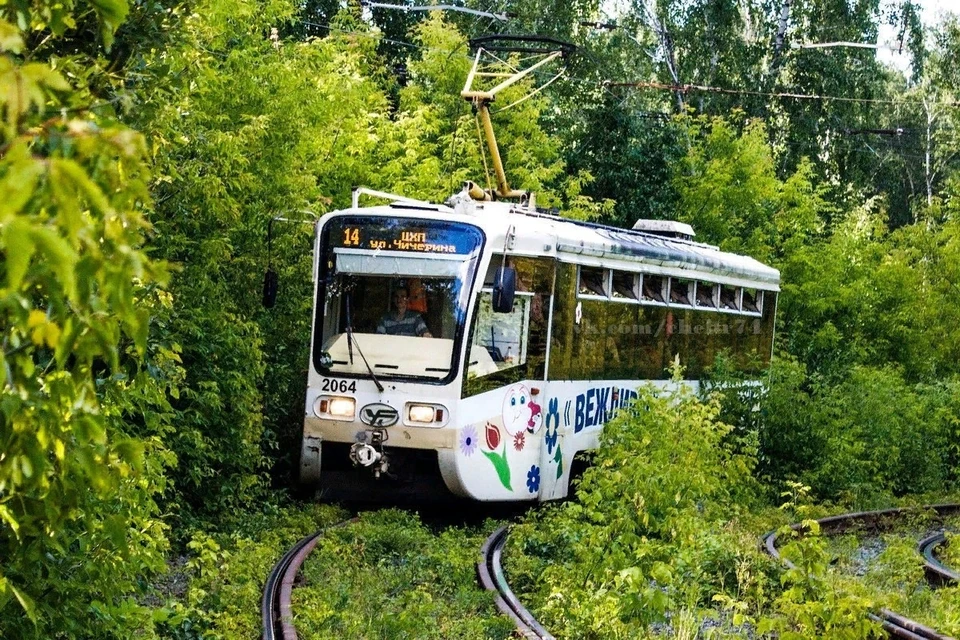 На трамвайных рельсах в Челябинске — трава по пояс. Фото: группа «Челябинский транспорт» vc.com