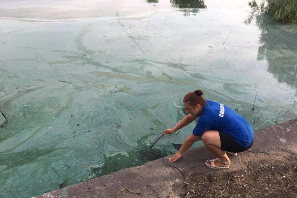 В августе в озеро Шенфлиз попали нефтепродукты.
