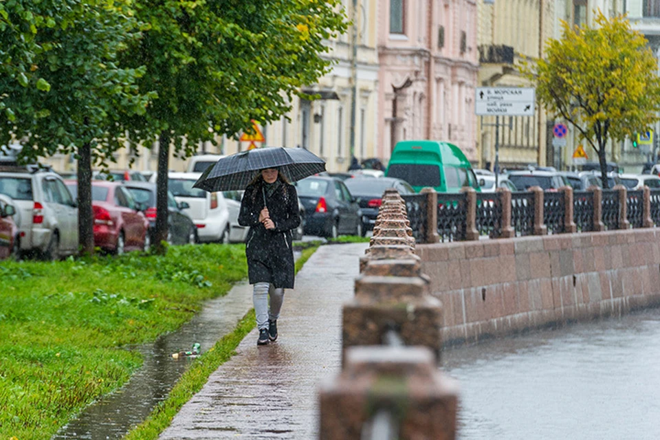 Погода в Санкт-Петербурге 13 - 16 сентября 2018 года: холодно и дождь.