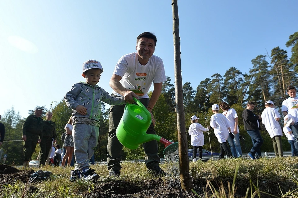 Губернатор Московской области принял участие в акции вместе «Наш лес. Посади свое дерево» с младшим сыном