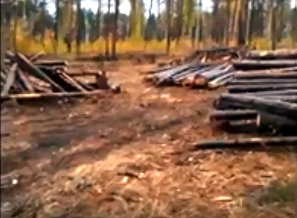 Кадр с видео Челябинского урбаниста.