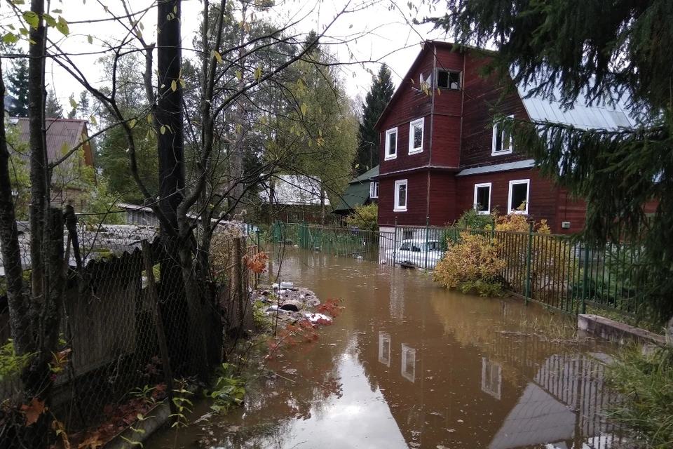 Дачники и жители Всеволожского района пострадали от подъема воды на границе с Петербургом