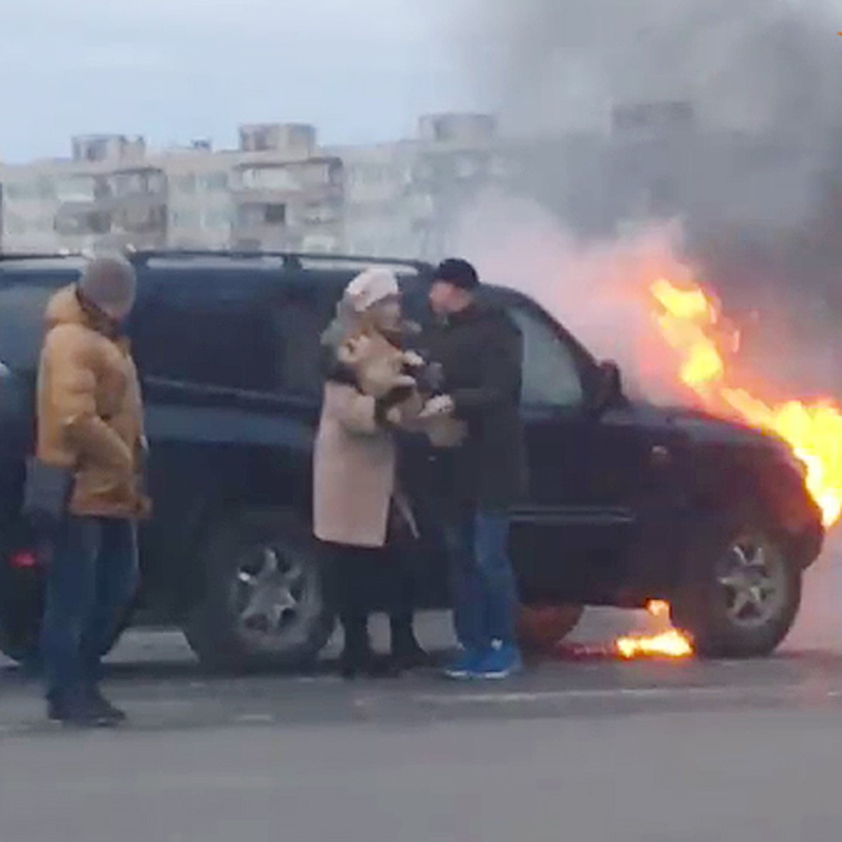 В Белгородской области хозяин чудом спас свою собаку из горящей машины -  KP.RU