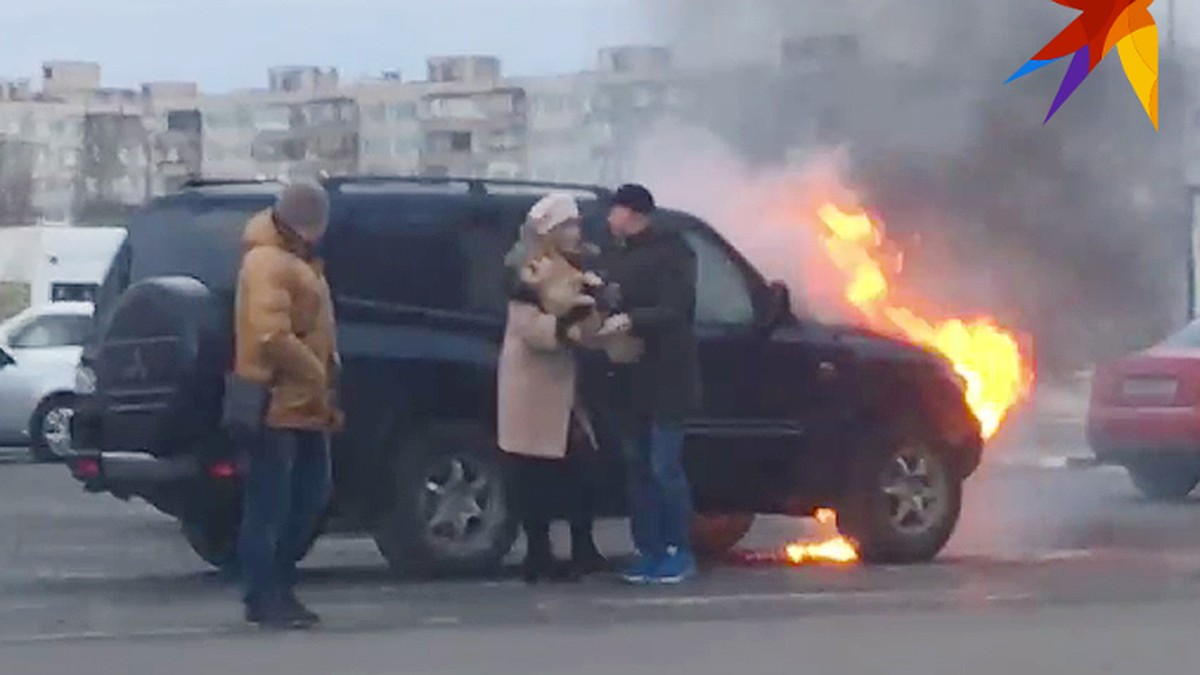 В Белгородской области хозяин чудом спас свою собаку из горящей машины -  KP.RU