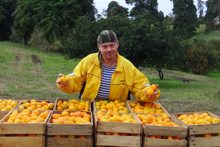 Наш корреспондент: ящик таких соберу - 50 рублей получу? Нет, лучше вернусь в Москву. Фото: Личный архив Д. Тихомирова