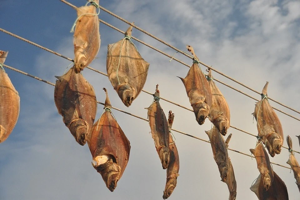 В Приморье цены снизились на камбалу, сельдь, навагу, горбушу, минтай и кальмар. Фото: pixabay.com