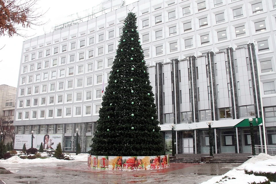 Новогодние елки появятся во всех районах Нижнего Новгорода до 15 декабря