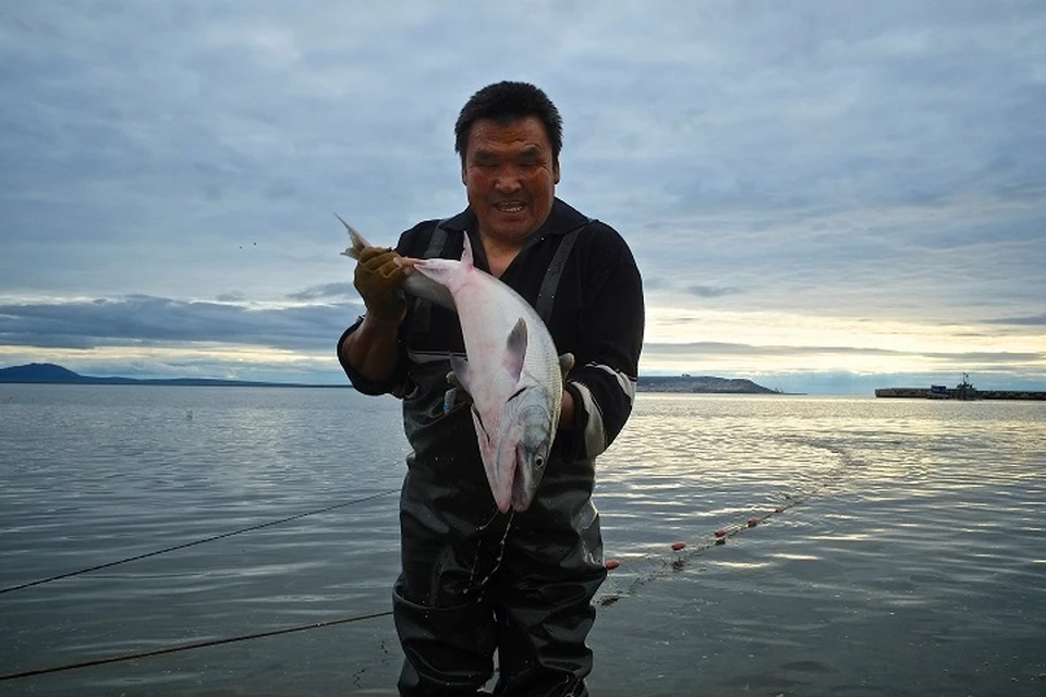 Чукотка. Мужчина держит в руках рыбу кету, пойманную в Анадырском лимане.