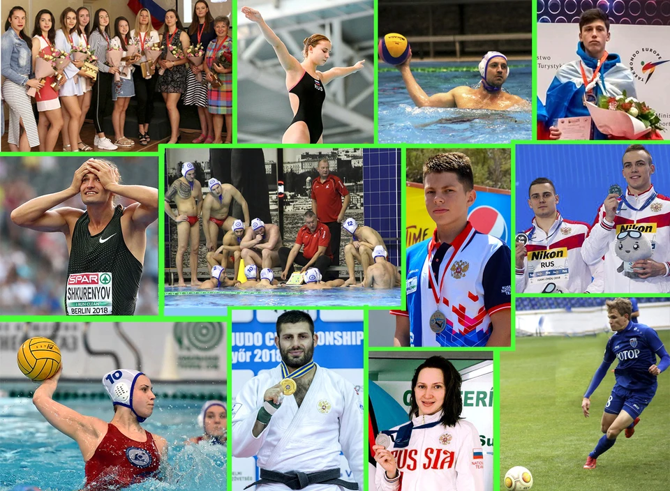 Виды спорта волгоград