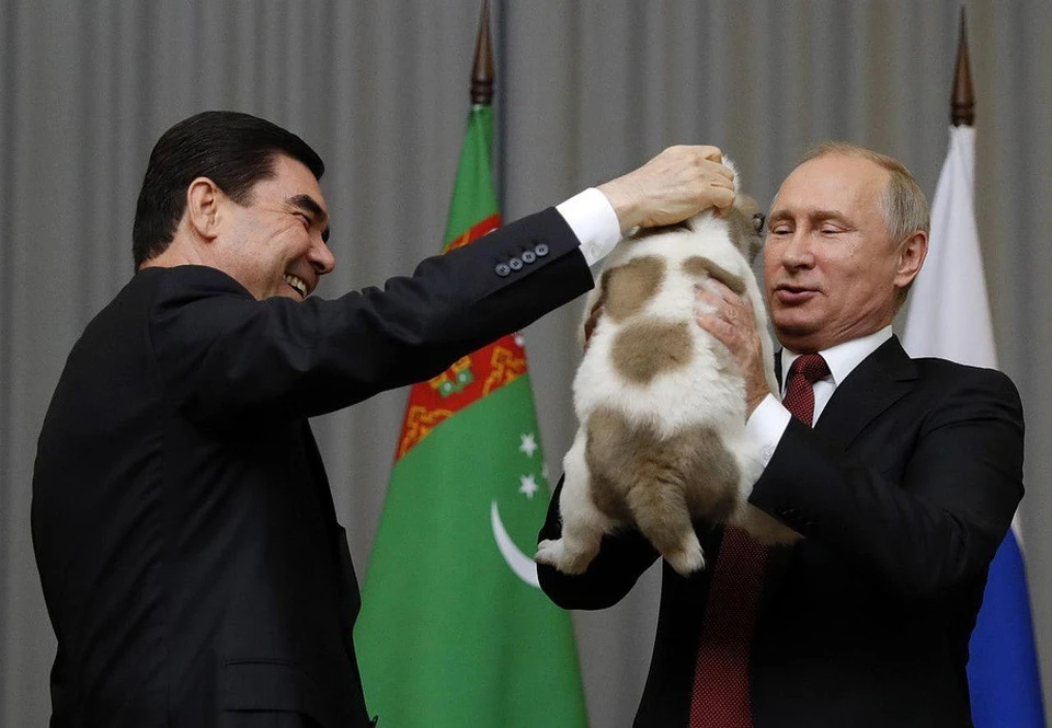 Президент Туркменистана передает Владимиру Путину щенка. Фото: Михаил Метцель/ТАСС